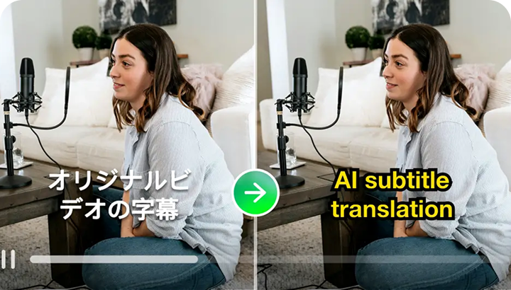Video Text Translator