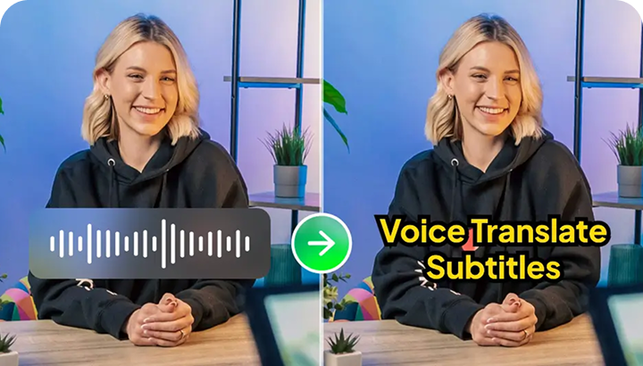 Video Speech Translator